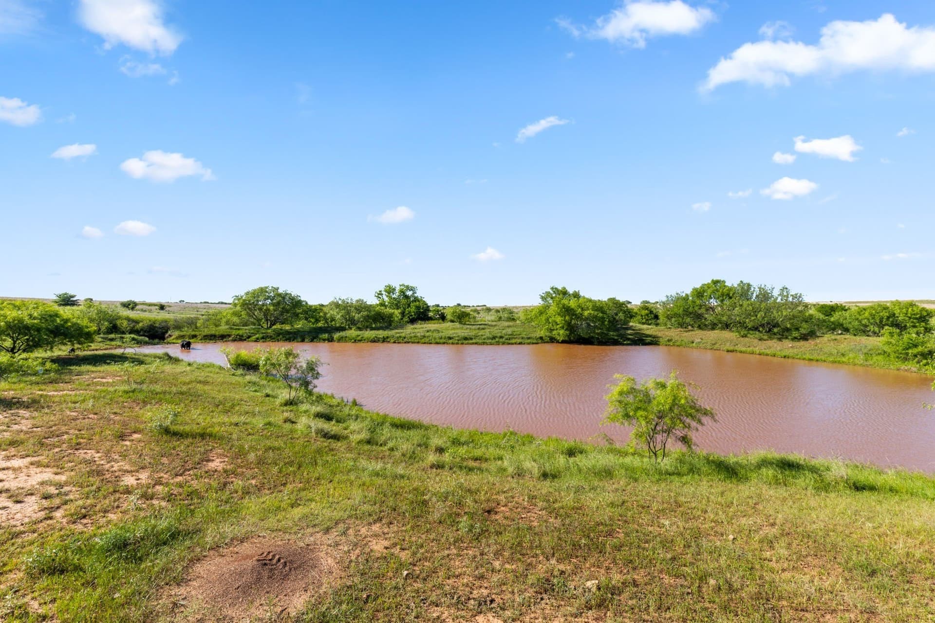 623.3 acres in Montague County - photo 6