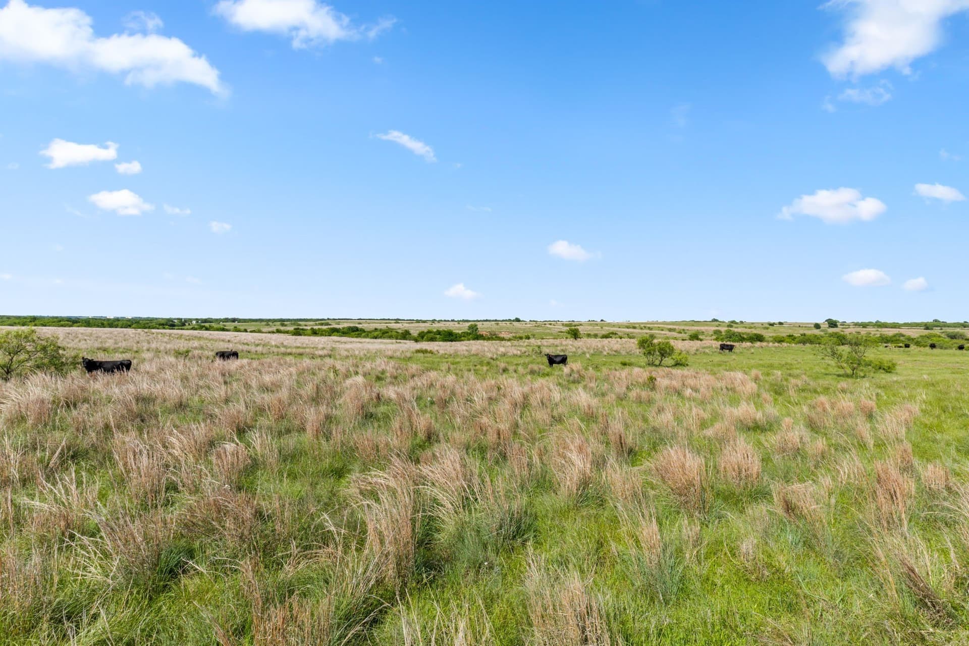 623.3 acres in Montague County - photo 12