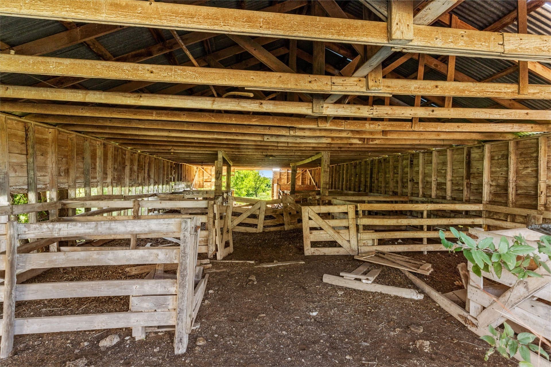 623.3 acres in Montague County - photo 9