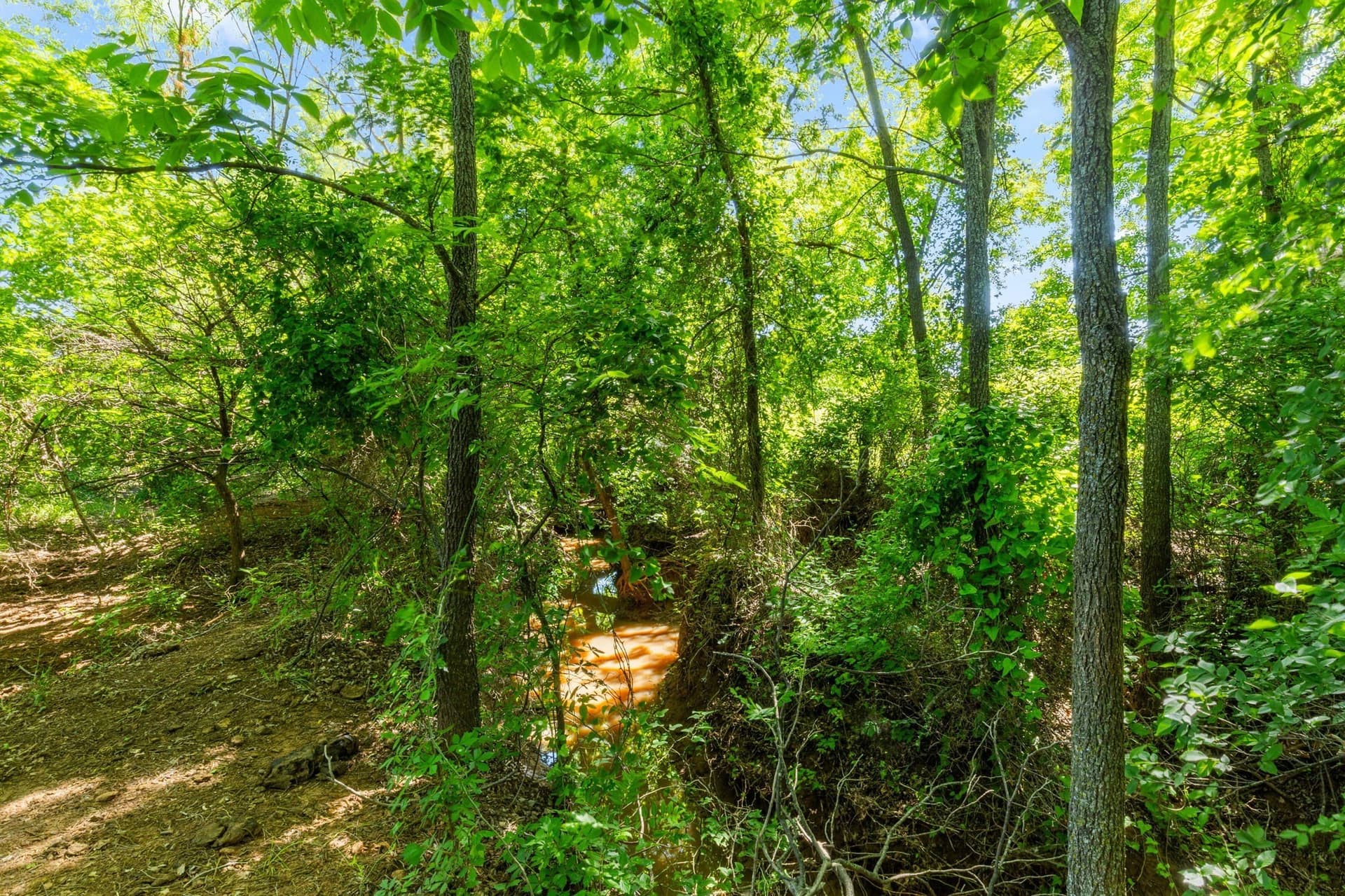 623.3 acres in Montague County - photo 18