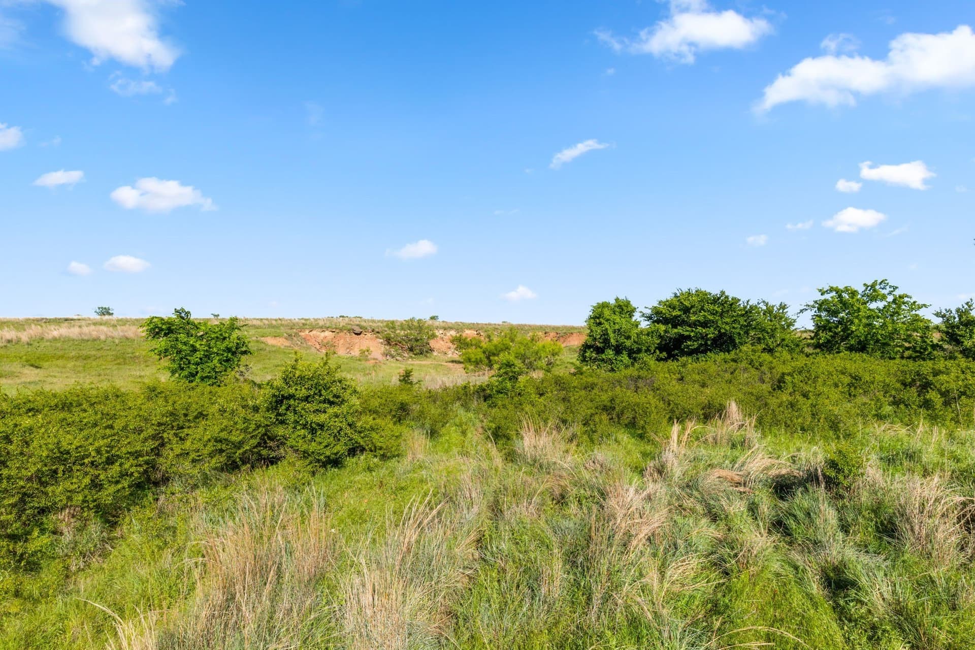 623.3 acres in Montague County - photo 7