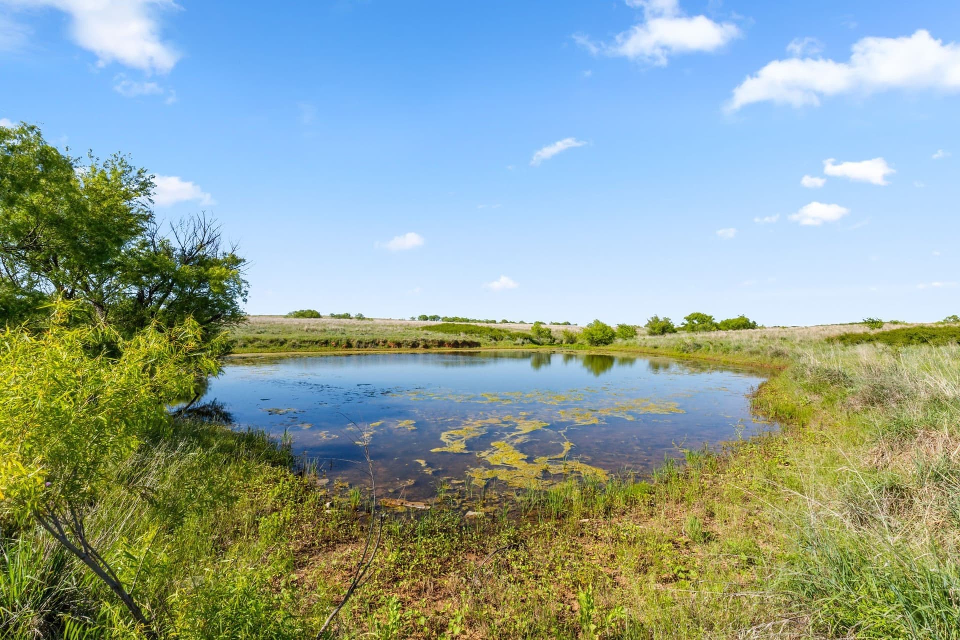 623.3 acres in Montague County - photo 4