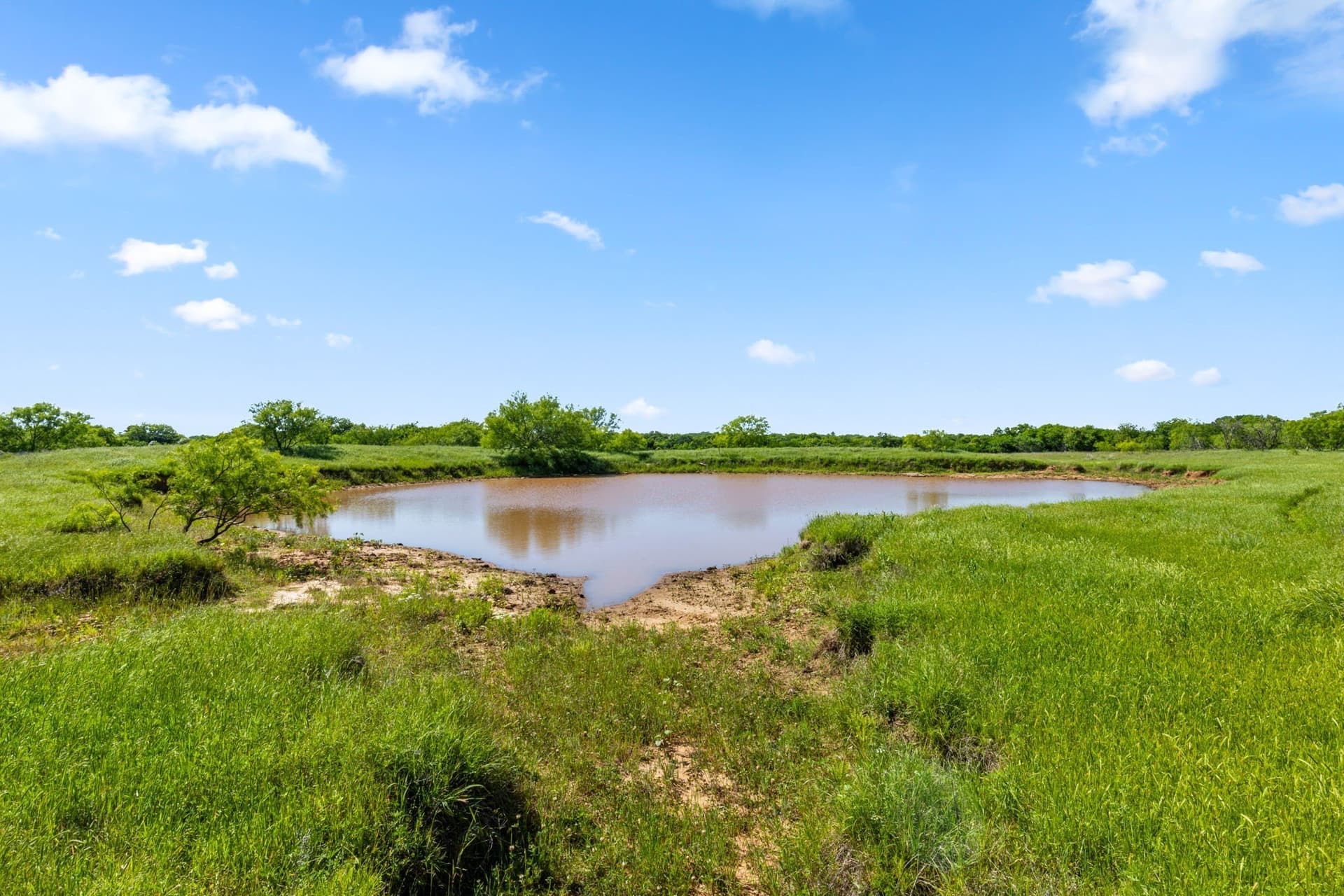 623.3 acres in Montague County - photo 15