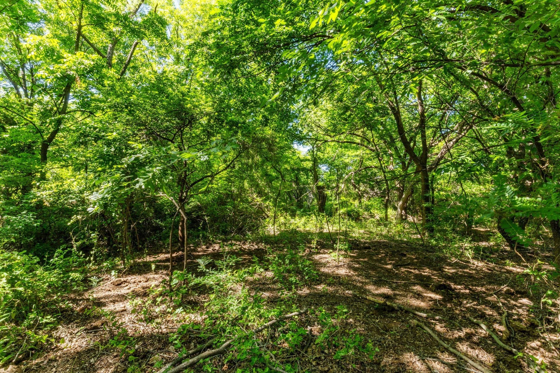 623.3 acres in Montague County - photo 17