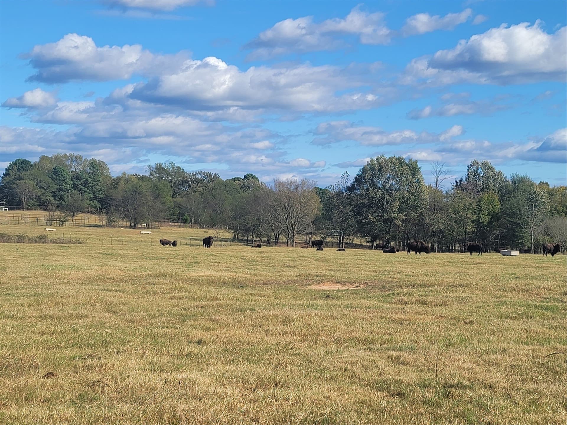 20.6 acres in Upshur County - photo 12