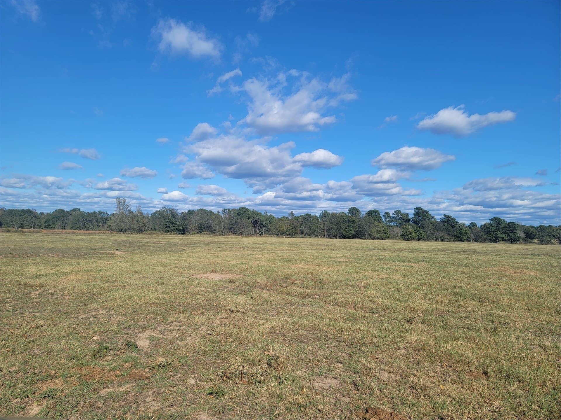 20.6 acres in Upshur County - photo 5
