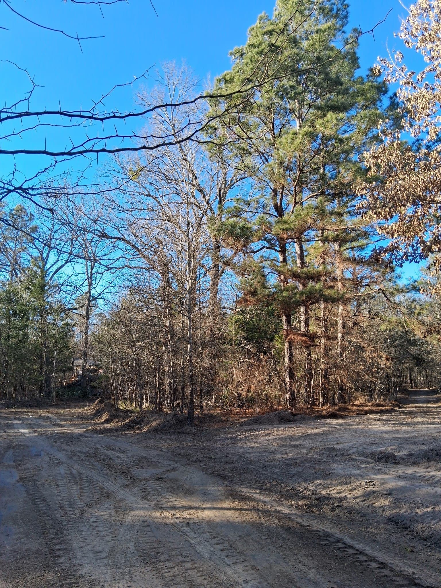 13.2 acres in Red River (TX) County