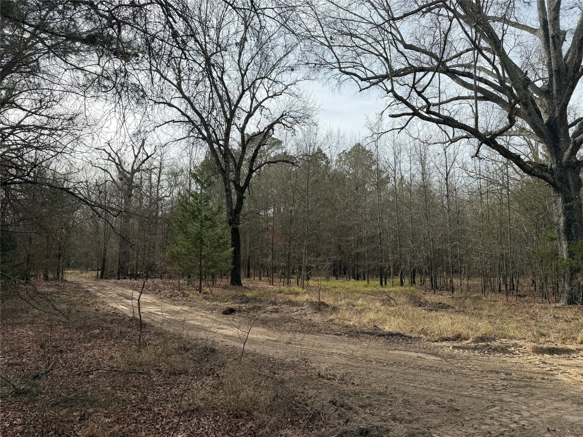 13.2 acres in Red River (TX) County - photo 5