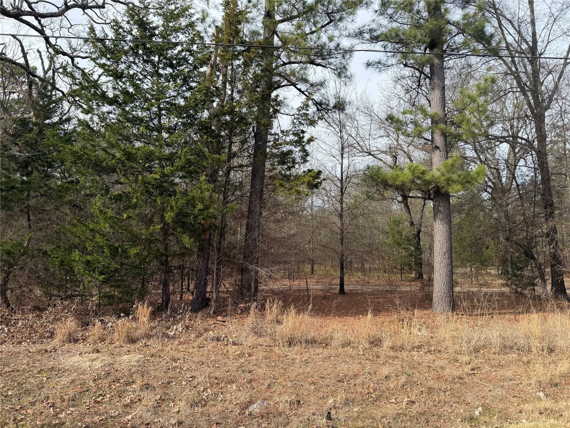 13.2 acres in Red River (TX) County - photo 10