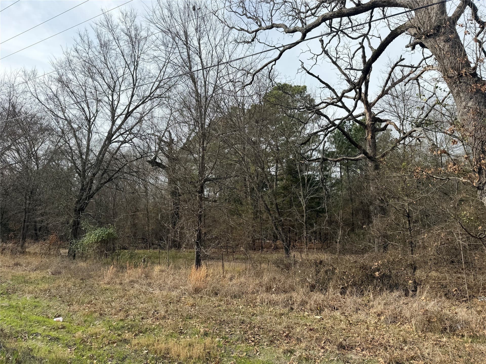 13.2 acres in Red River (TX) County - photo 11