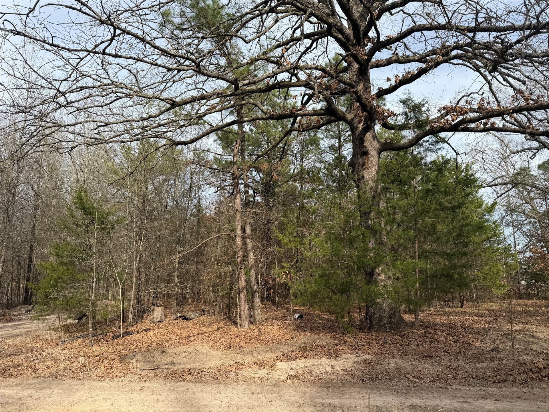 13.2 acres in Red River (TX) County - photo 9