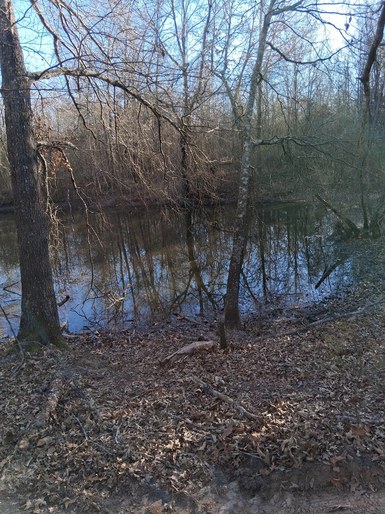 13.2 acres in Red River (TX) County - photo 6