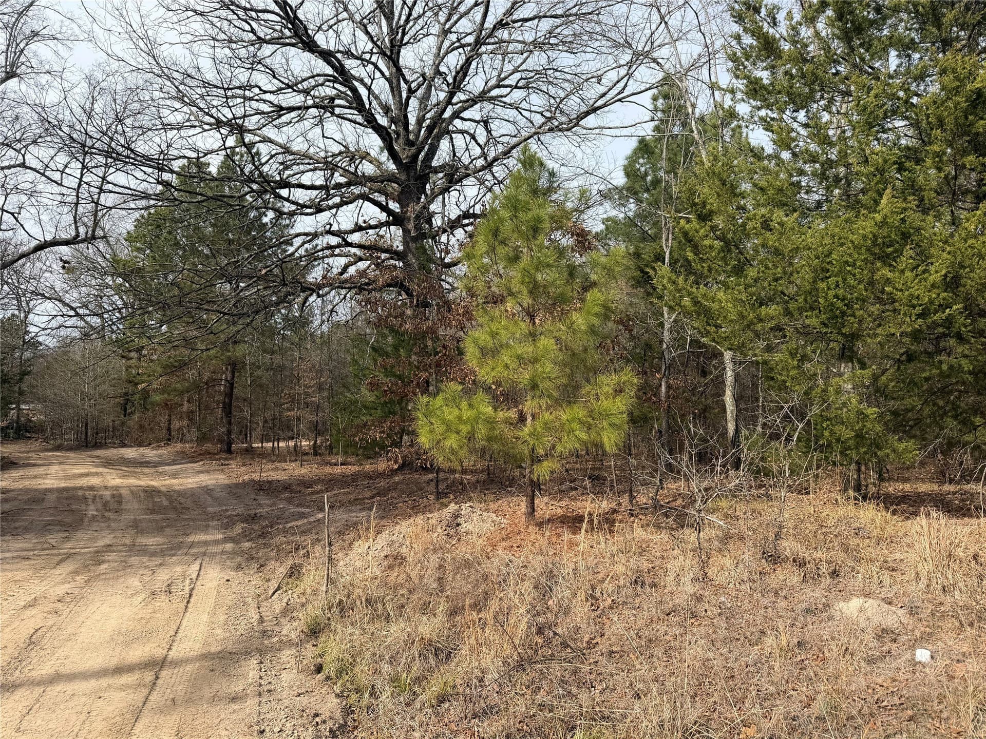 13.2 acres in Red River (TX) County - photo 7