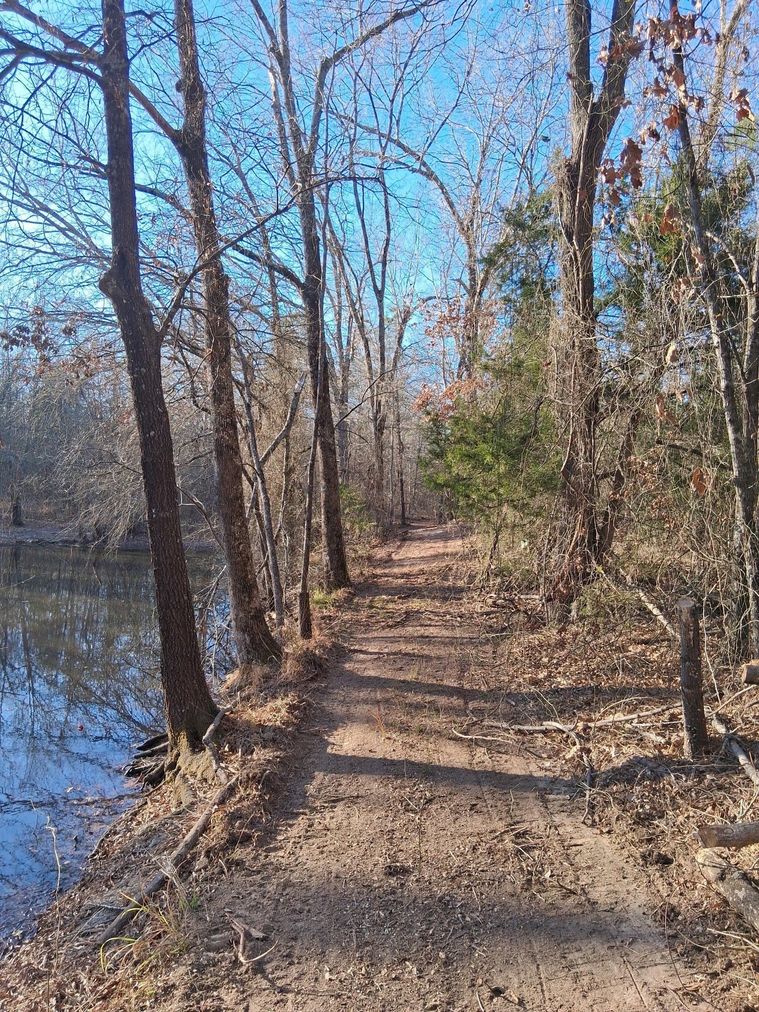13.2 acres in Red River (TX) County - photo 2