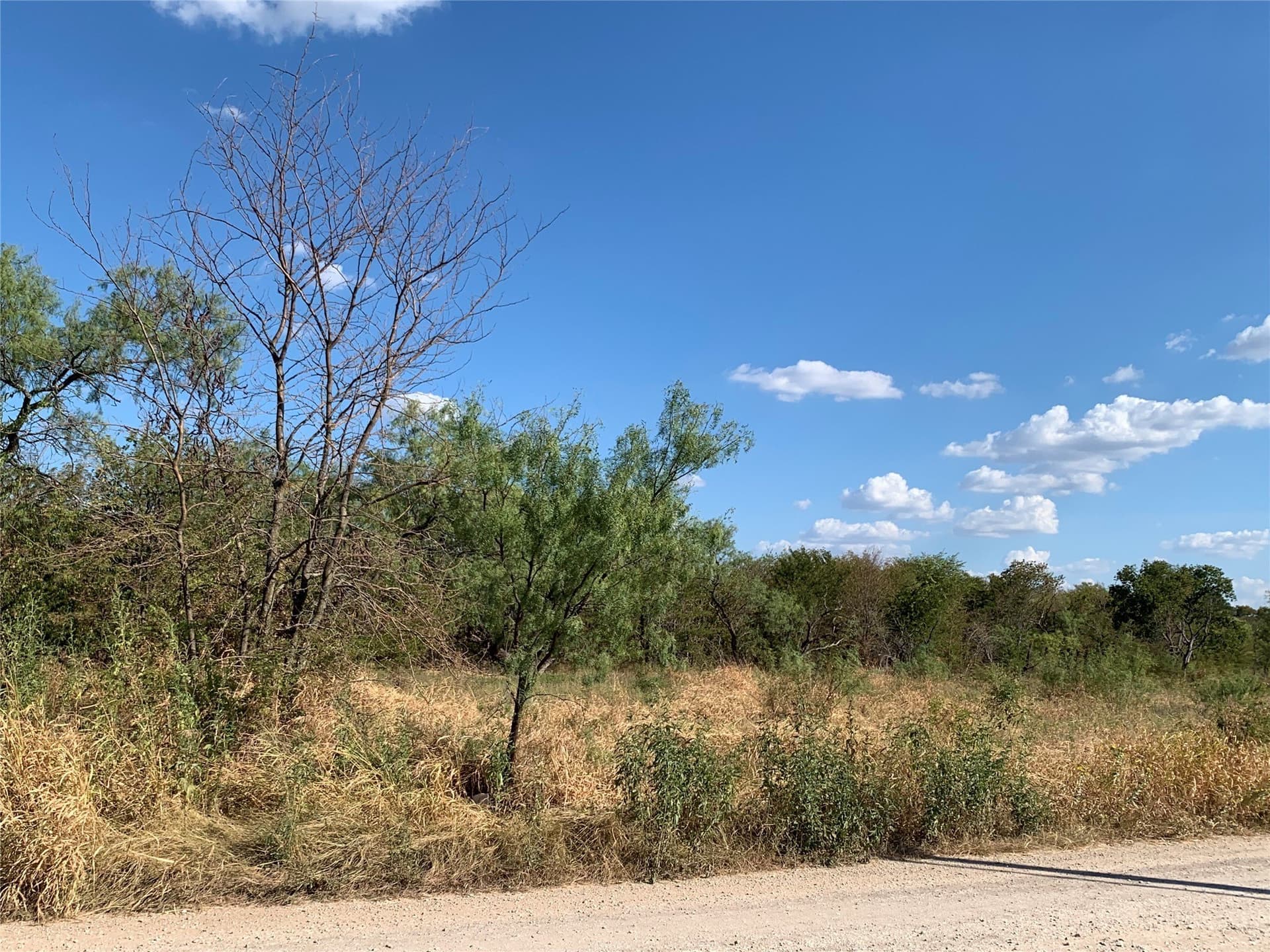 0.22 acres in Wise County - photo 2
