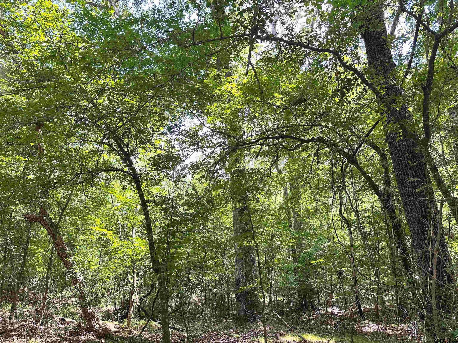 5 acres in Anderson County featured view