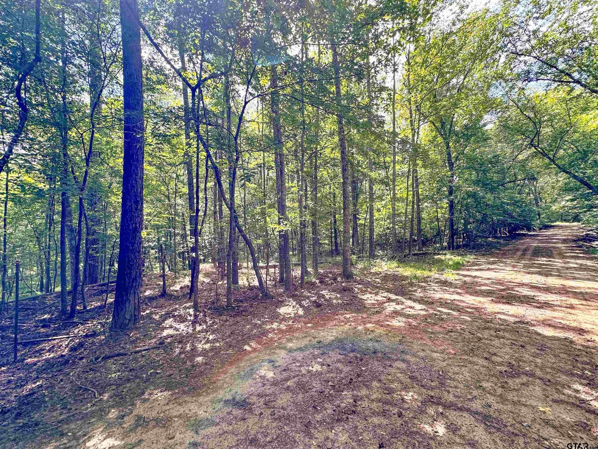 5 acres in Anderson County gallery image 4