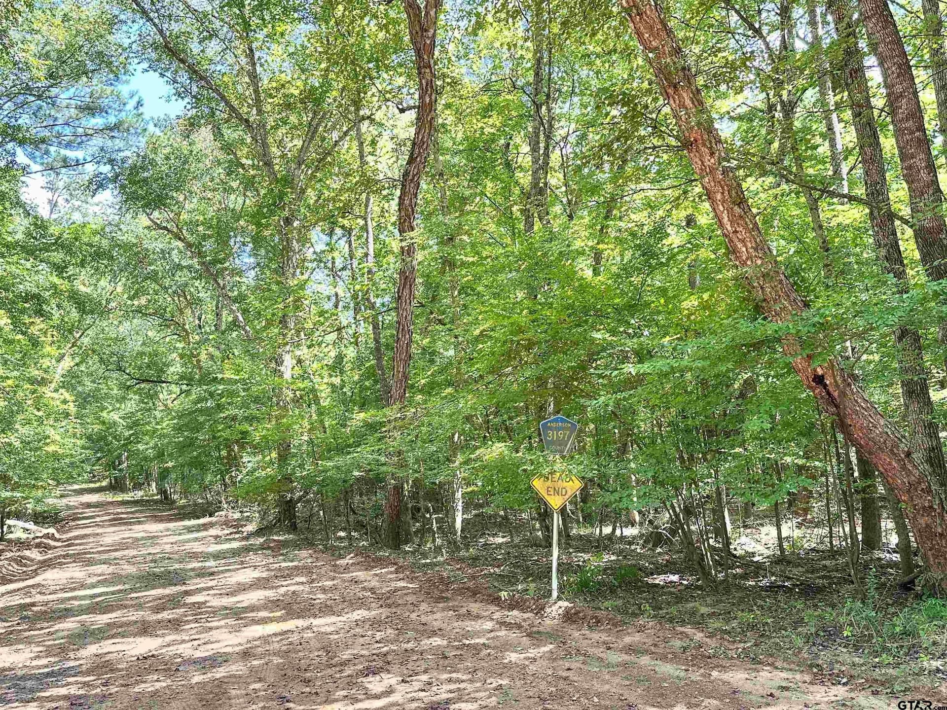 5 acres in Anderson County gallery image 2