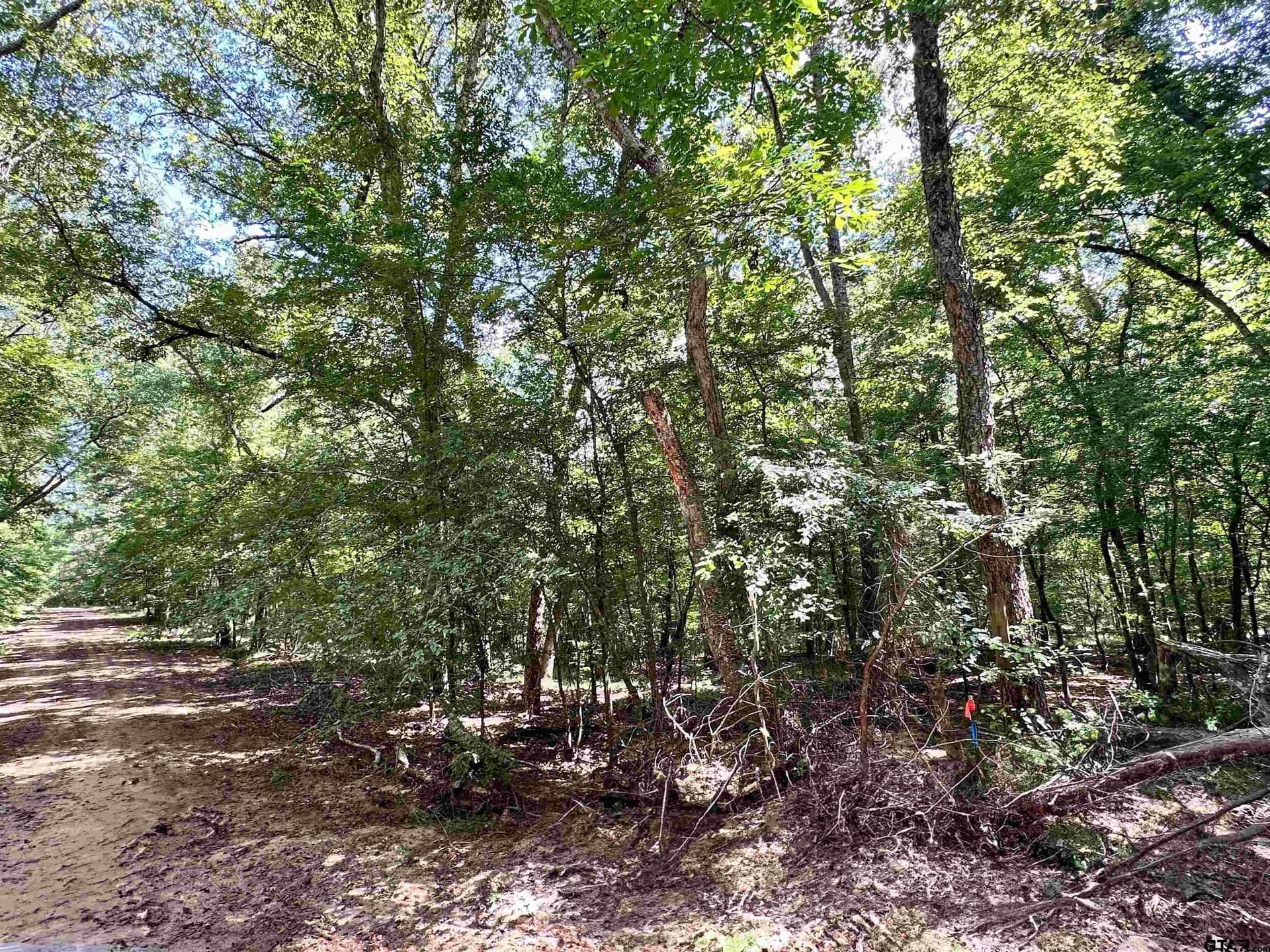 5 acres in Anderson County gallery image 3