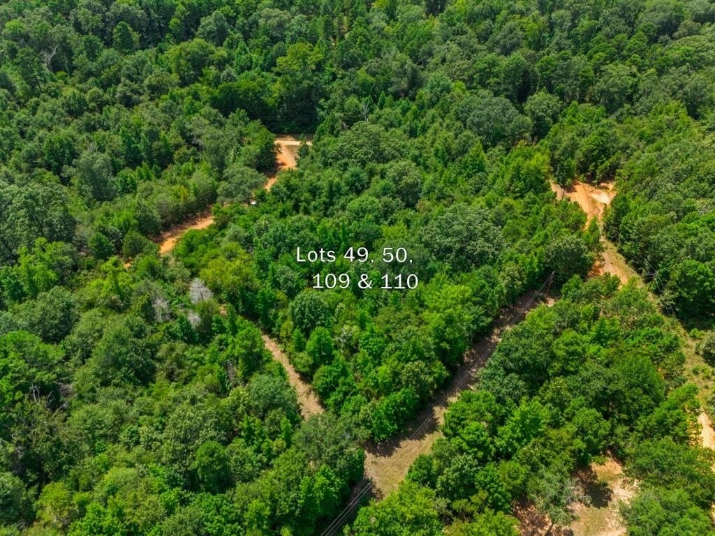 0.91 acres in Wood County featured view