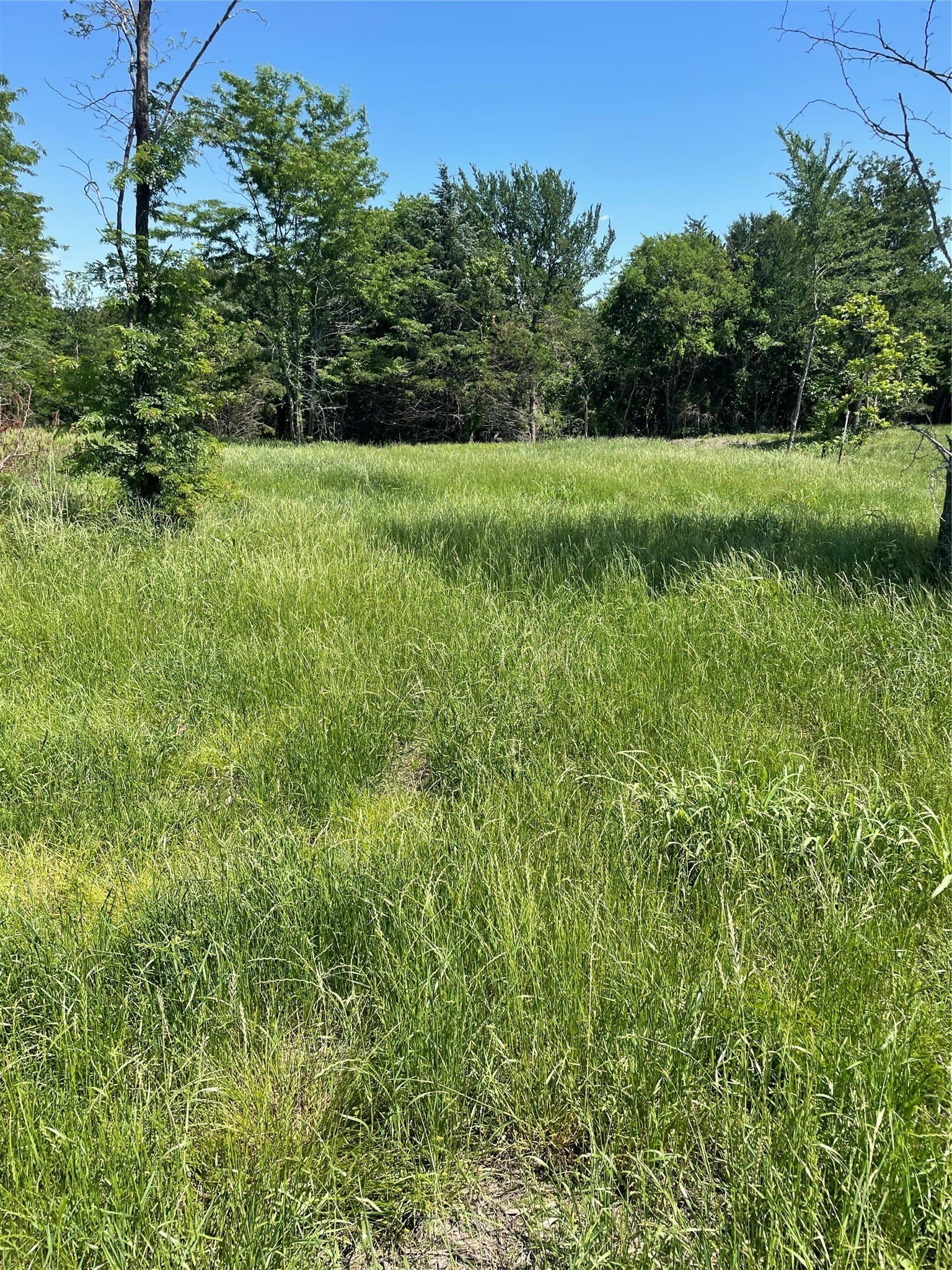 1.44 acres in Fannin County gallery image 4