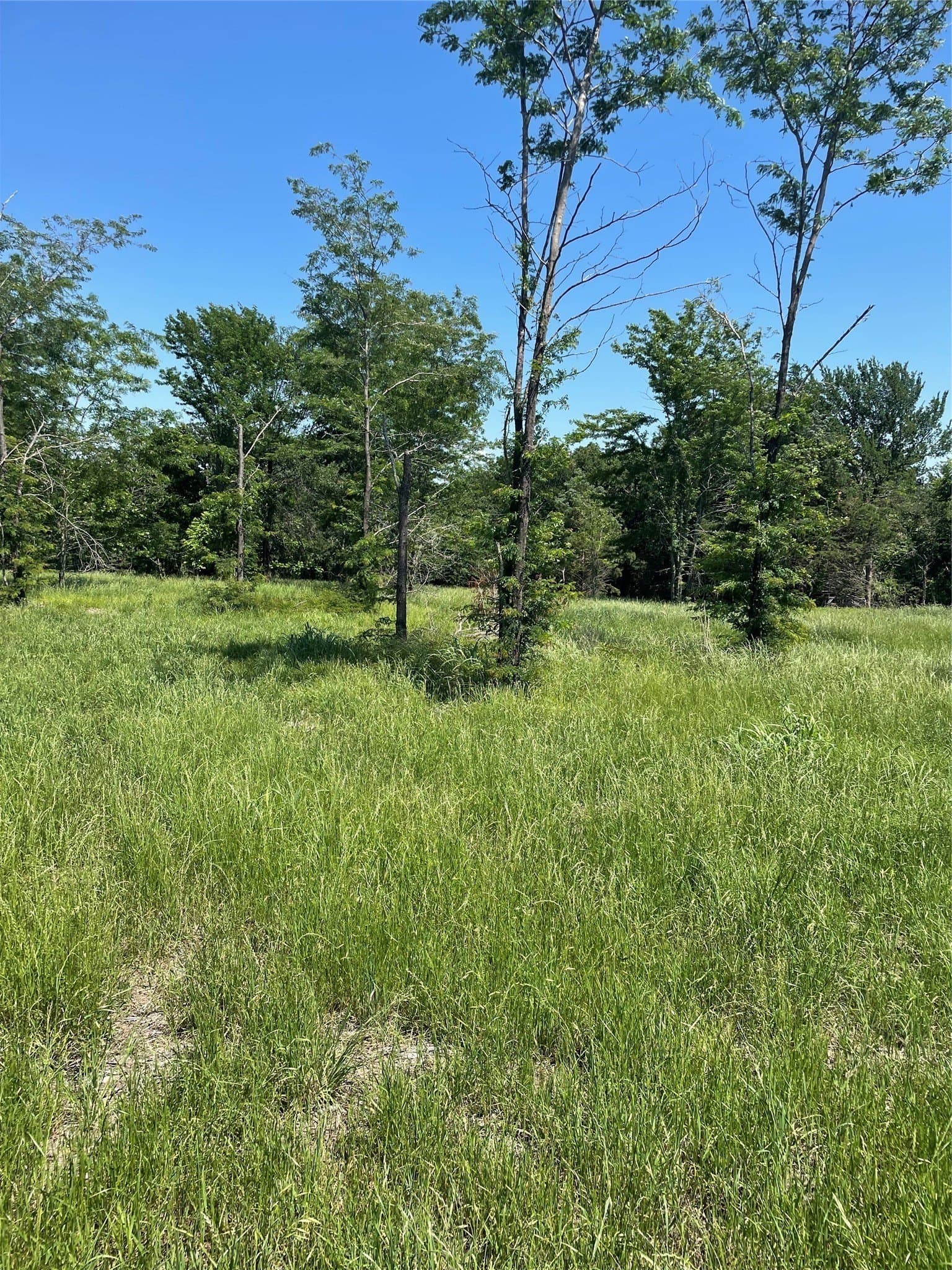 1.44 acres in Fannin County gallery image 2