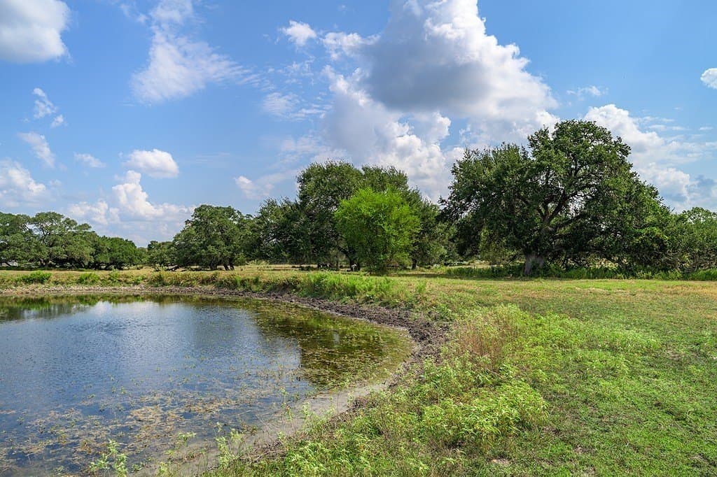 6 acres in Fayette County gallery image 4