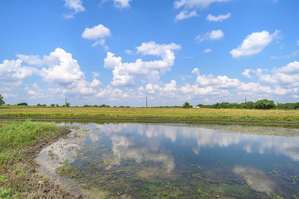 6 acres in Fayette County - photo 8