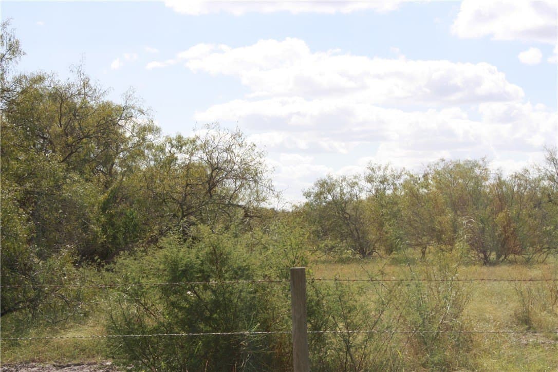 21 acres in San Patricio County featured view
