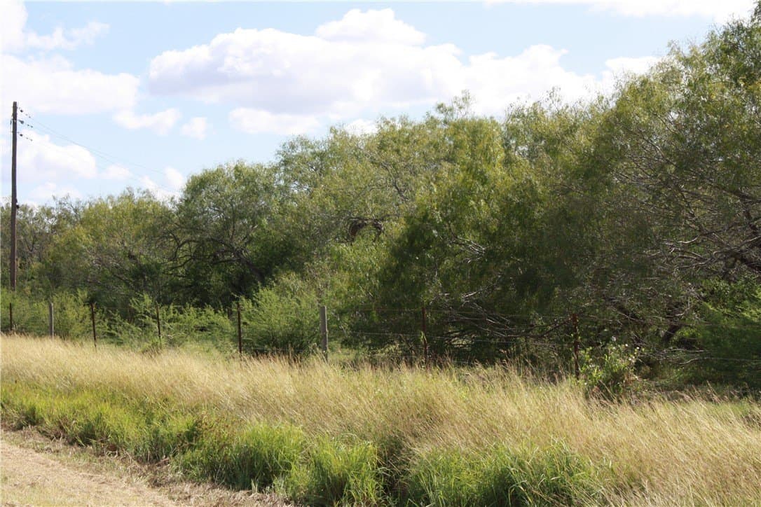 21 acres in San Patricio County gallery image 4