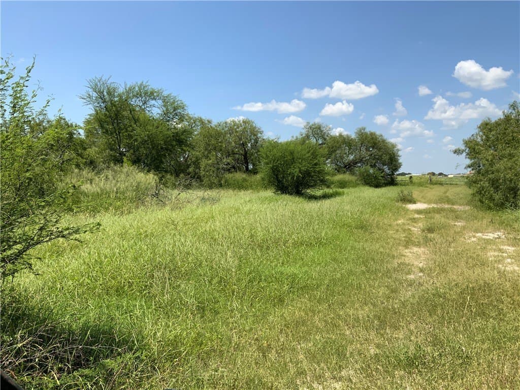 21 acres in San Patricio County