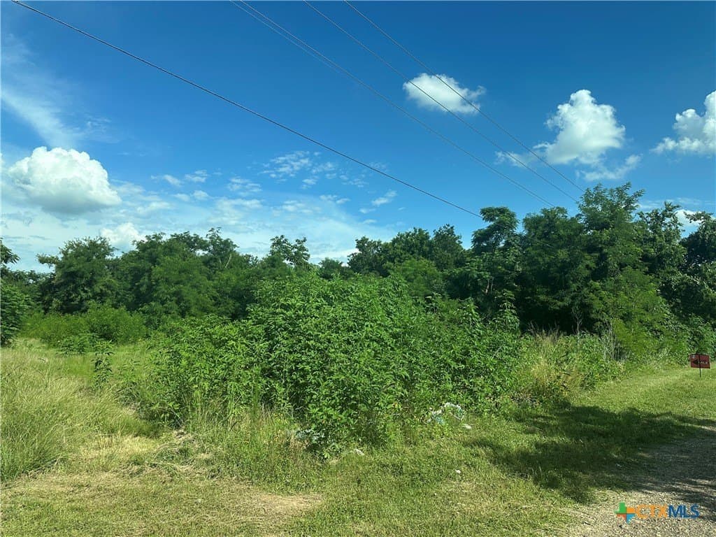 1 acres in Falls County gallery image 3
