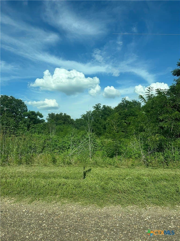 1 acres in Falls County gallery image 2