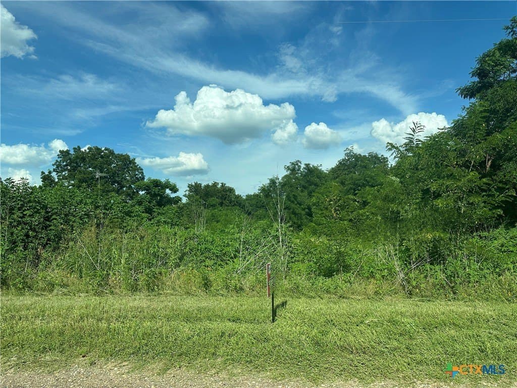 1 acres in Falls County gallery image 4