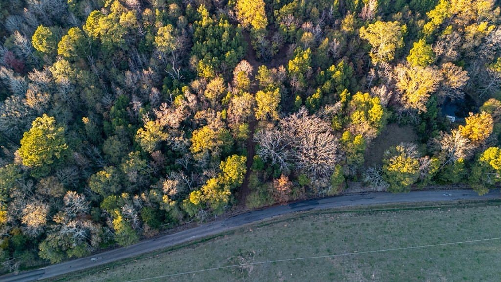 10.4 acres in Texas County gallery image 3