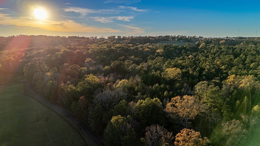 10.4 acres in Texas County featured view