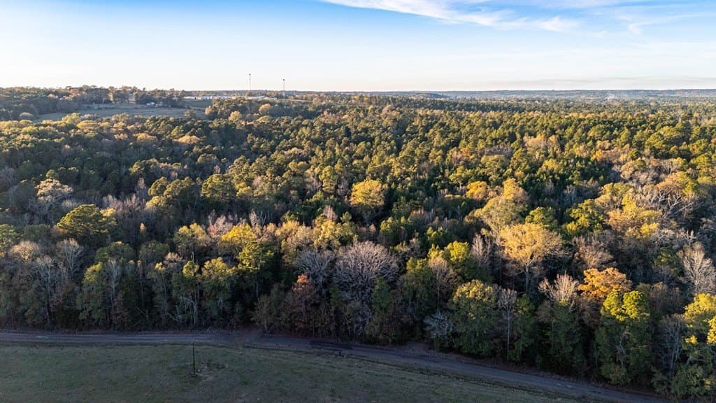10.4 acres in Texas County gallery image 4