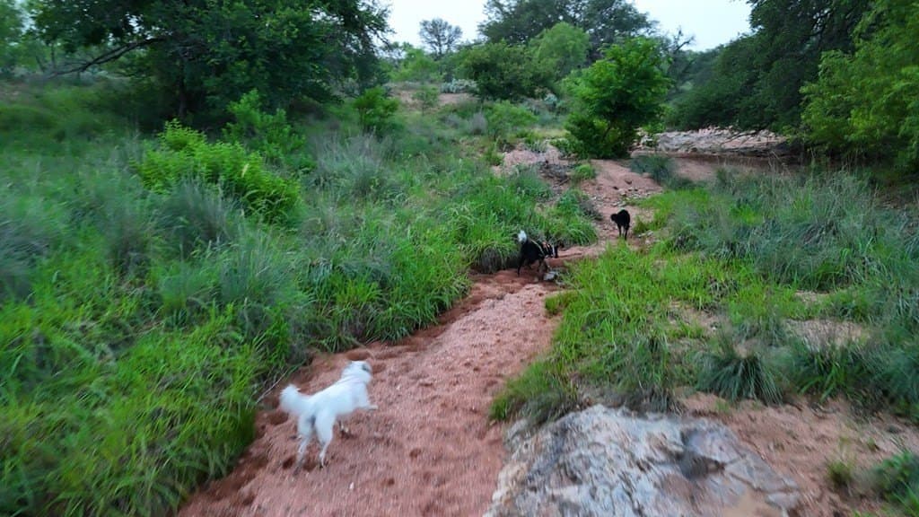 1,354.84 acres in Mason County gallery image 4