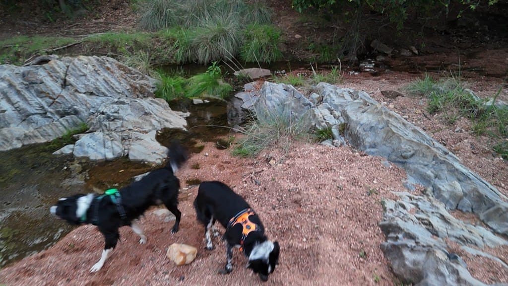 1,354.84 acres in Mason County gallery image 3