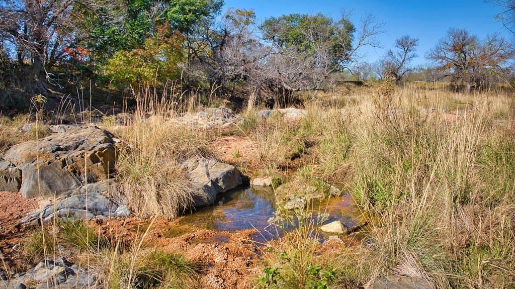 1,354.84 acres in Mason County featured view