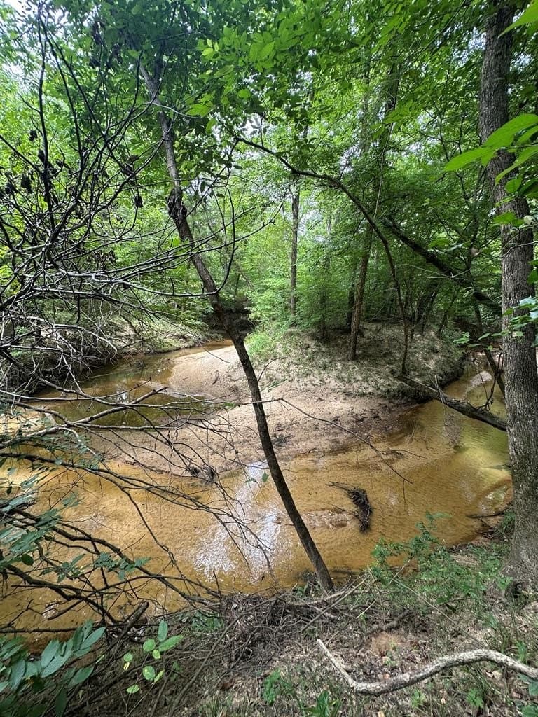 35.2 acres in Texas County gallery image 4