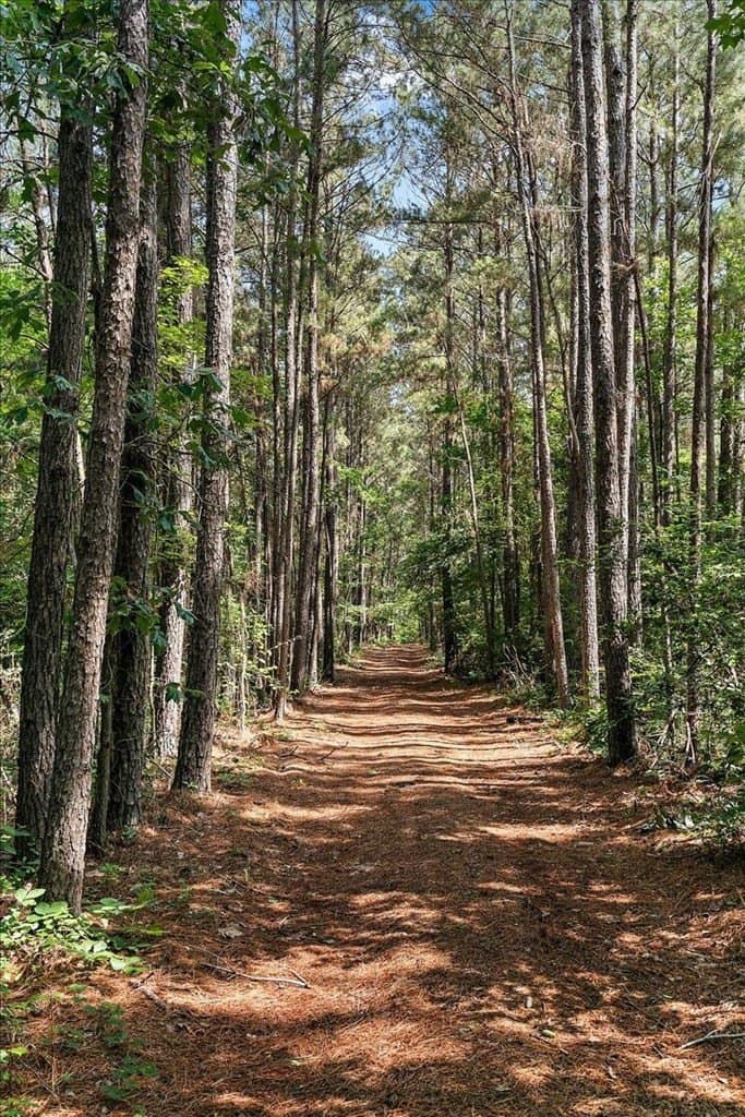 35.2 acres in Texas County gallery image 3