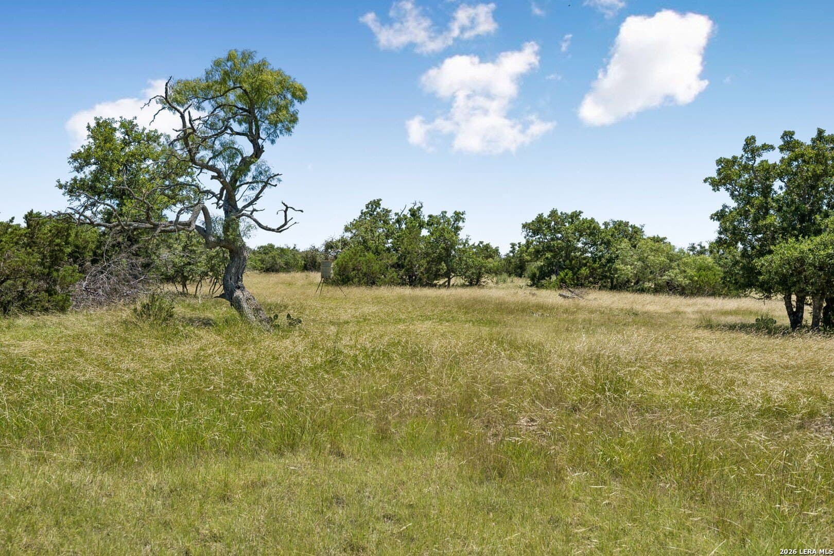 94.96 acres in Kerr County - photo 8