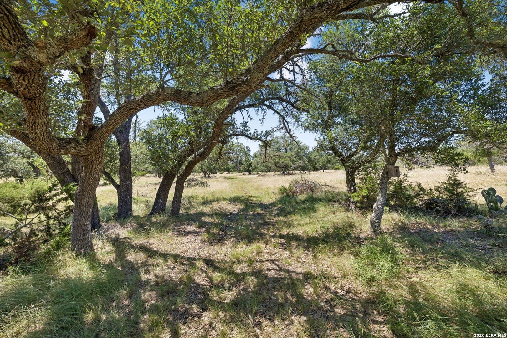 94.96 acres in Kerr County - photo 13