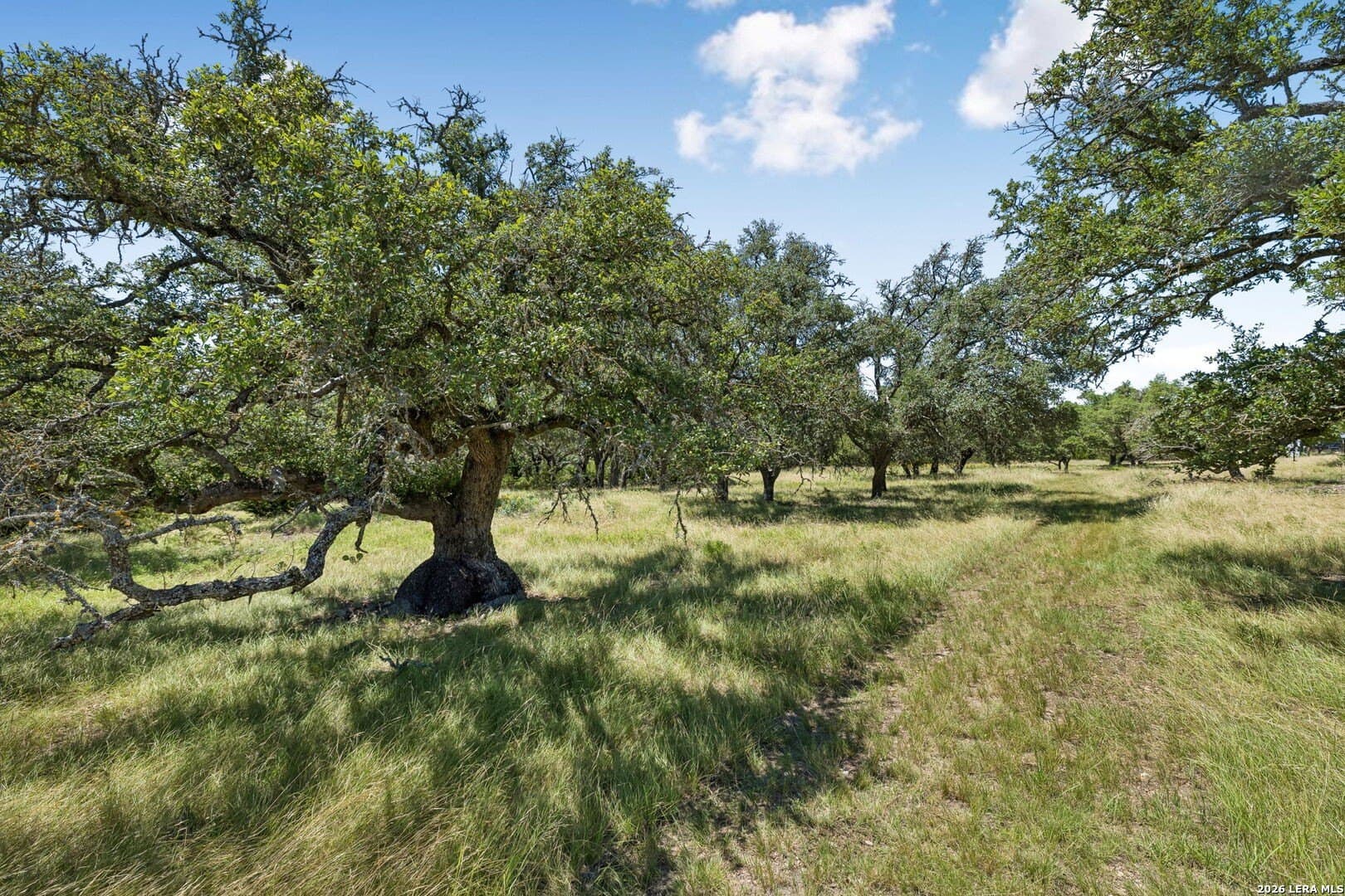 94.96 acres in Kerr County - photo 12