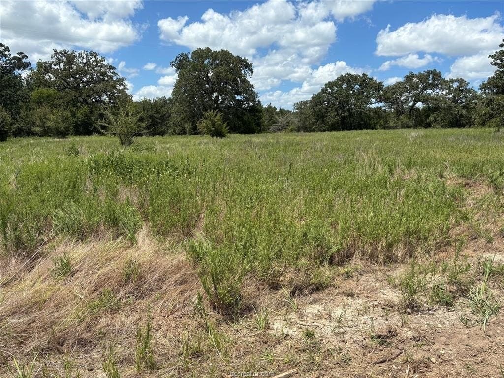 2.92 acres in Brazos County - photo 7