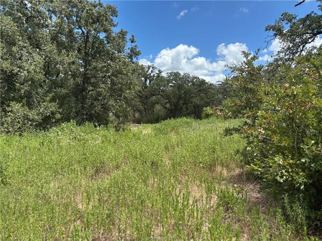 2.92 acres in Brazos County - photo 3