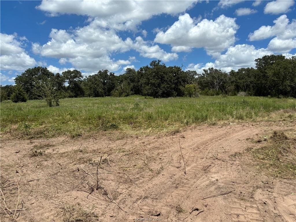2.92 acres in Brazos County - photo 6