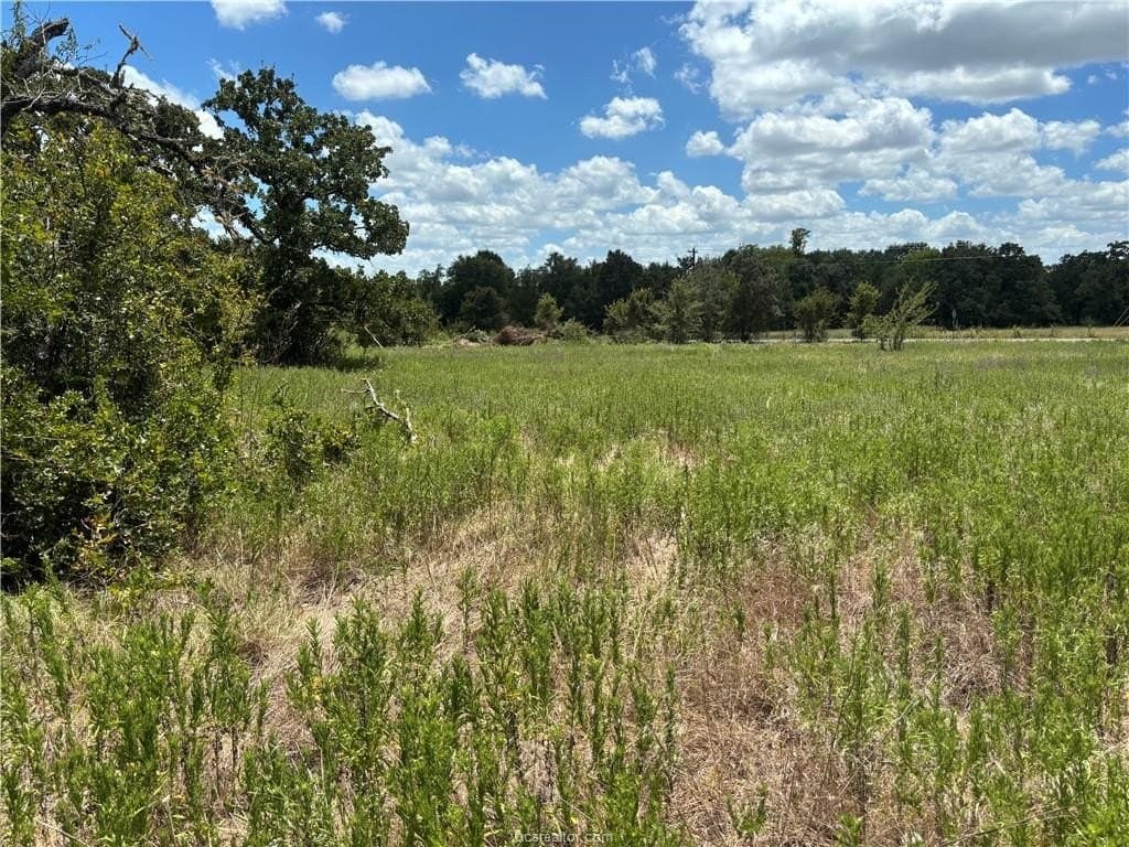 2.92 acres in Brazos County - photo 2