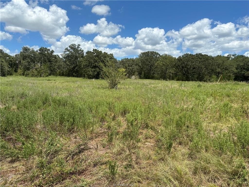 2.92 acres in Brazos County - photo 4